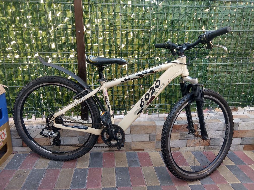 conway dirt bike