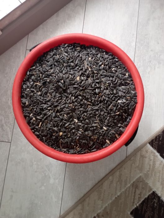 Продам одно ведро мелких семечек.