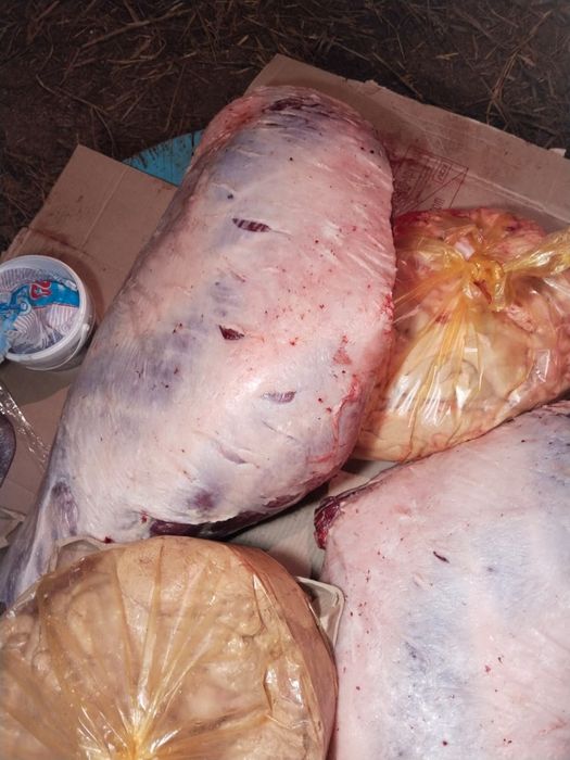 Мясо продаем конина.