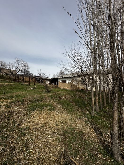 4 xona yashash uchun 4 xona tovuq juja va bol qoy boqsa buladigan joy