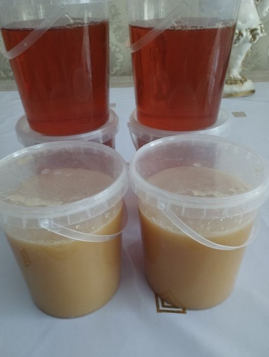 Натуральный мед Россия