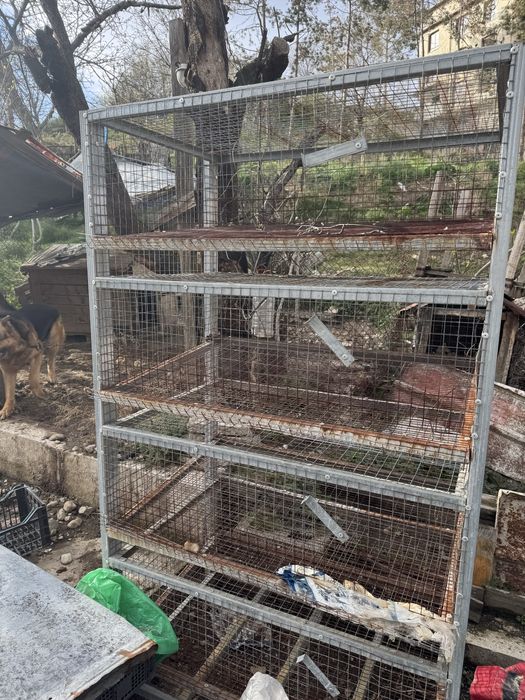 Клетки за Зайци Патпадъци и др