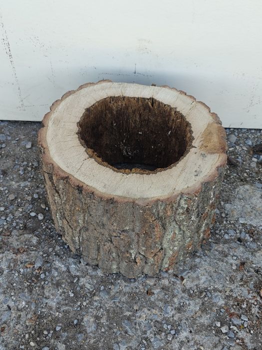 Хралупа различни видове.