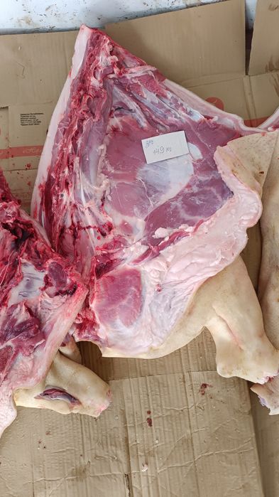 Продаётся свежая свинина