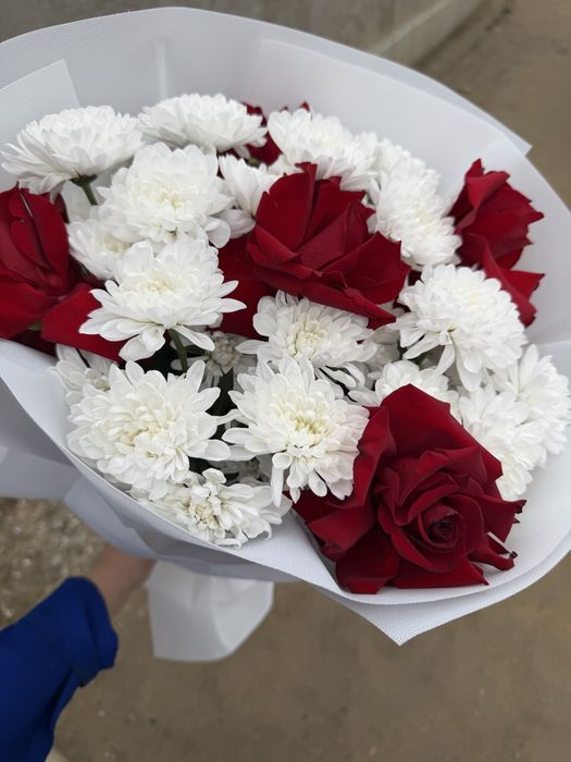 Харизентема розы все свежие