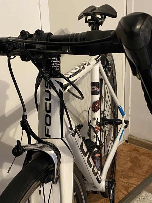 Cursieră Focus culebro 2015