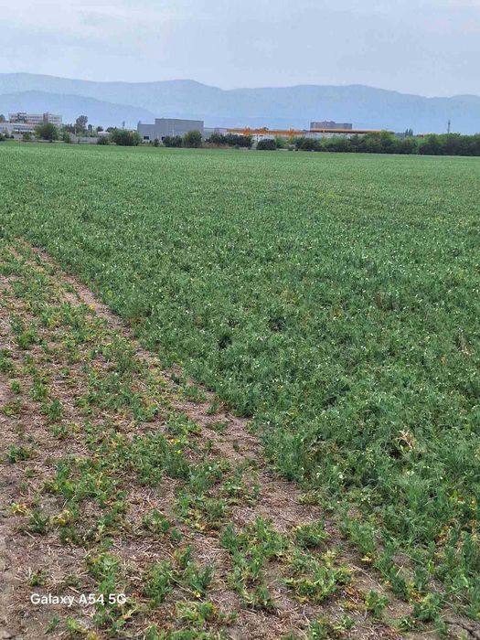 Продава се Парцел в Пловдив, Индустриална зона - Север - 7962 кв.м за 19 €/кв.м - Снимка #14