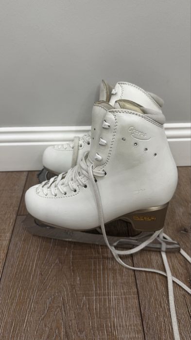 Продам коньки Edea Chorus 220 р