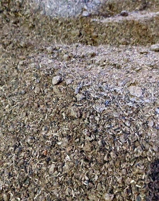 Srot de floarea soarelui