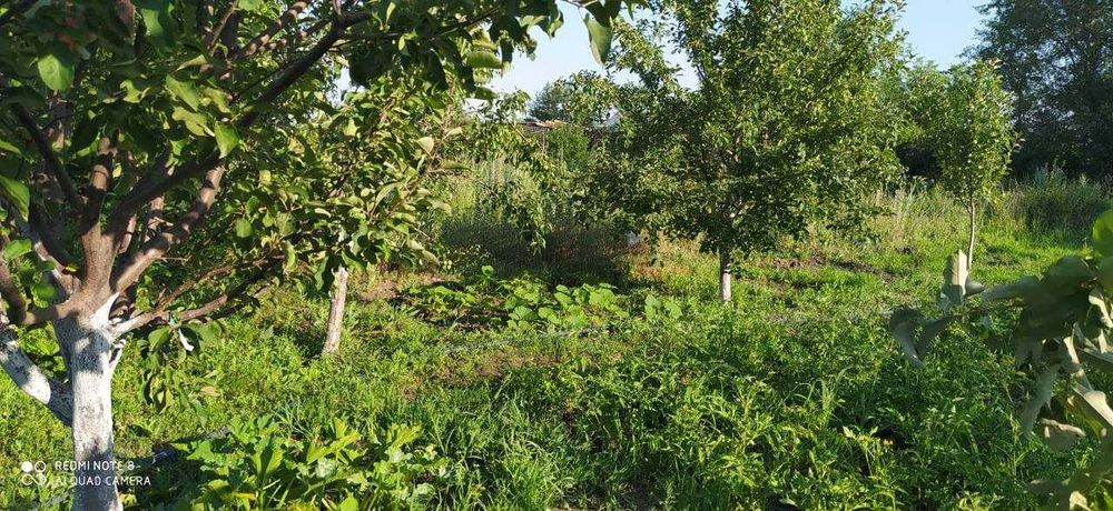 Продам дачу Восход в хорошем месте