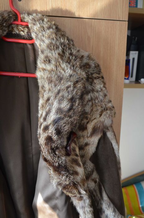 Haina din blana naturala de linx / blana de ras / pisica salbatica