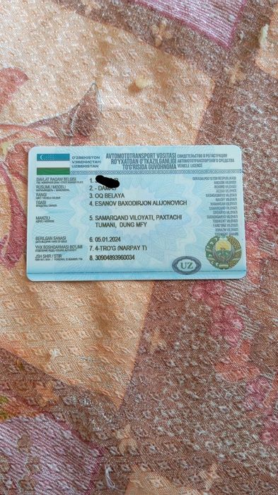 2019 yil chiqan xolati yaxshi