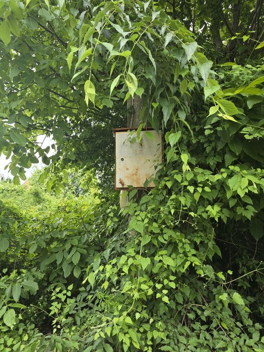 Продава се Парцел в с. Малка Верея, Област Стара Загора - 559 кв.м за 63 €/кв.м - Снимка #2