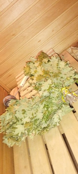 Веники для бани. Дубовые и с травами