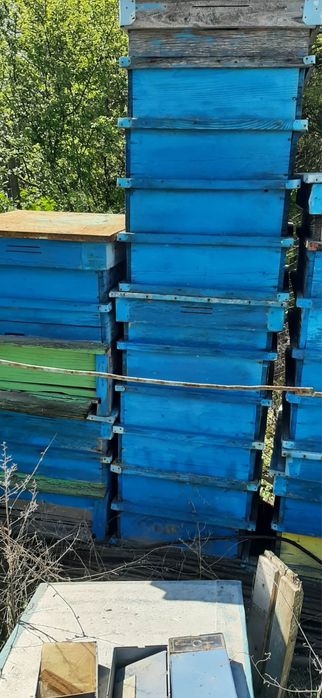 Кошери, магазини, капаци