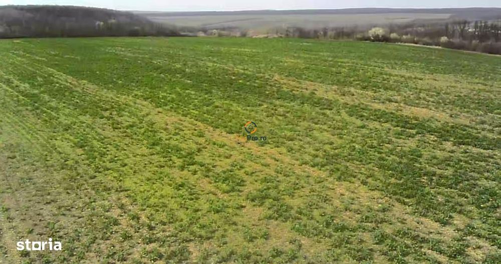 Proprietar Teren langa Domeniile Herneacova