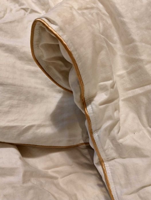 Пухена завивка гъши пух  TED зимна 200/220