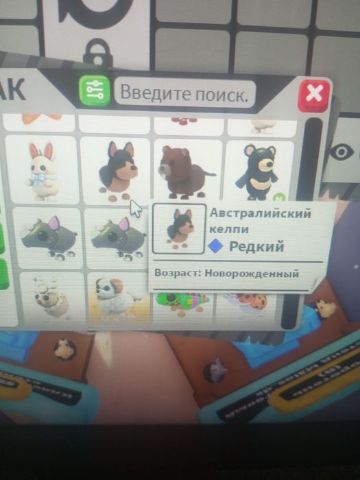 Адопт ми петы продажа