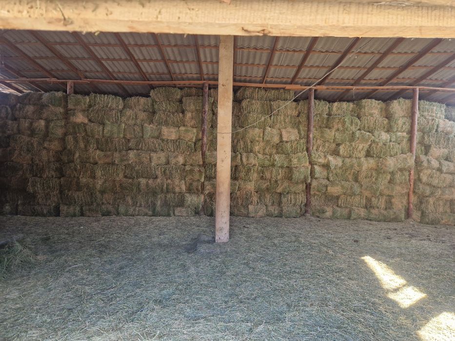 Жоңышқа пресс 2500 тг.