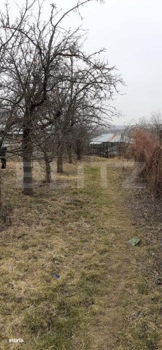 Casa batraneasca cu teren de 6700 mp intravilan, Ipatele