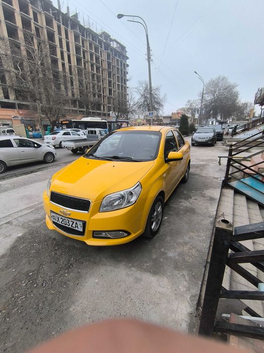 Areda Nexia 3 2018 sariq radnoy