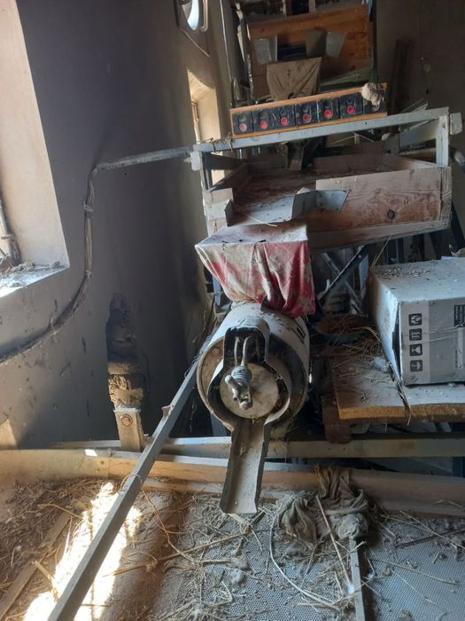 Sholi xoroz sotiladi