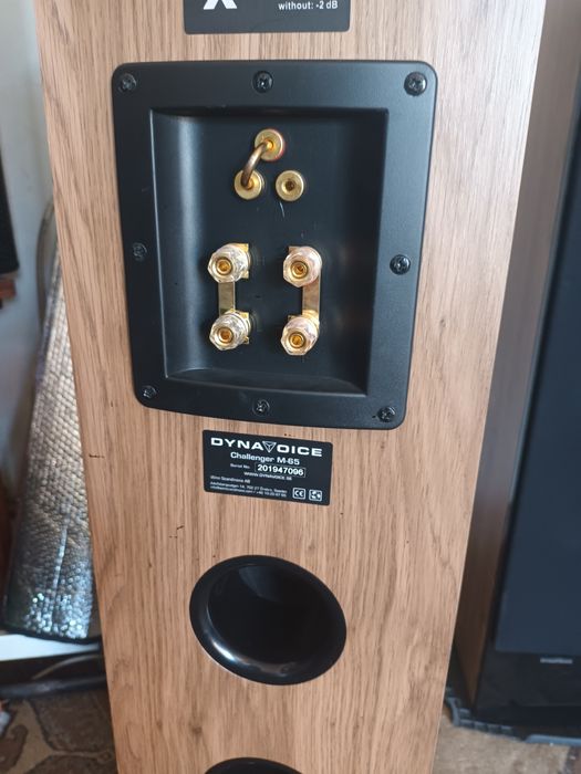 Boxe de podea Dynavoice