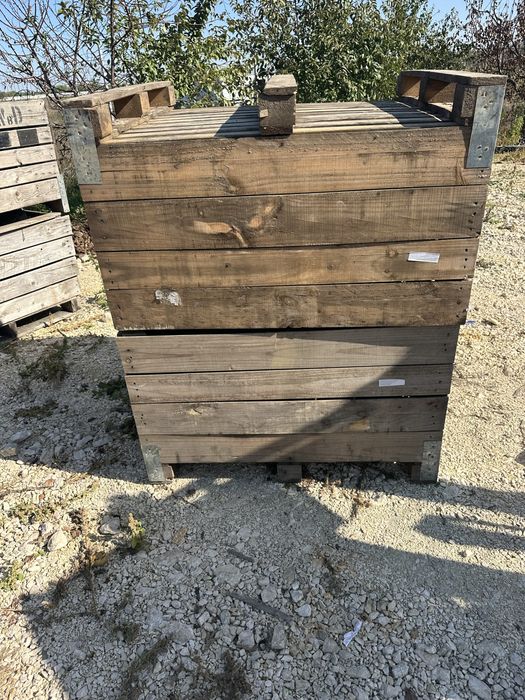 Boxpaleti lemn 100x120