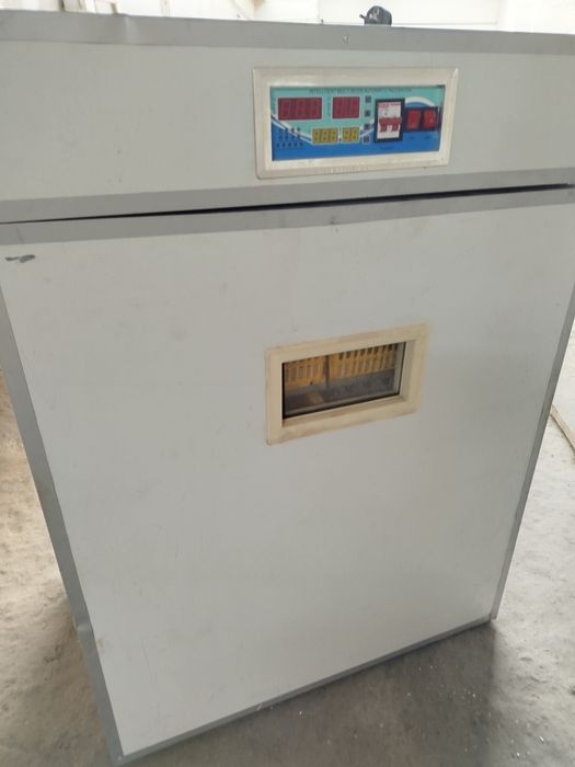 1000 тали Инкубатор сотилади