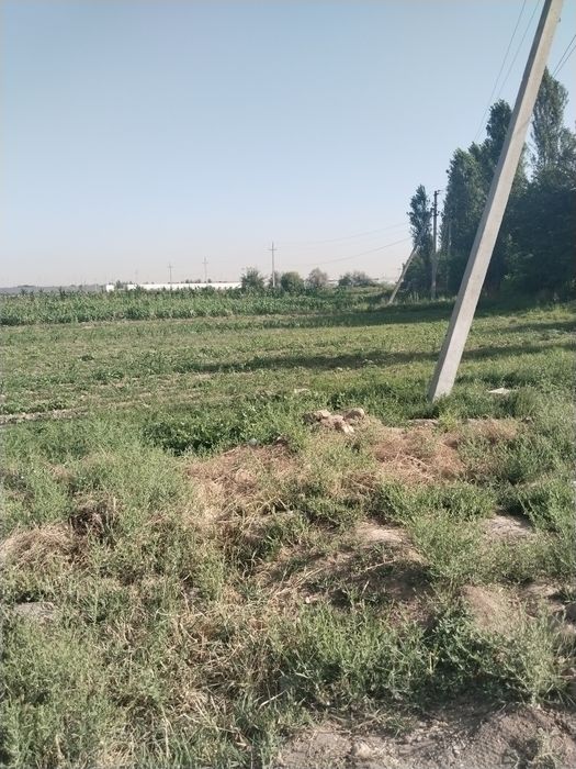 Продам земельный участок. Старые Сергели. 6,1  соток. По 11 000у.е