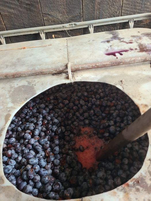 Prune pentru țuică