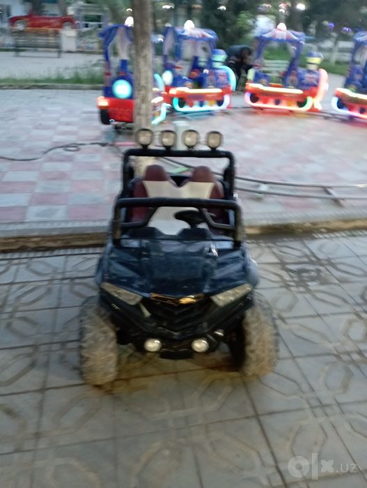 Bagi ideal hama joyi zur