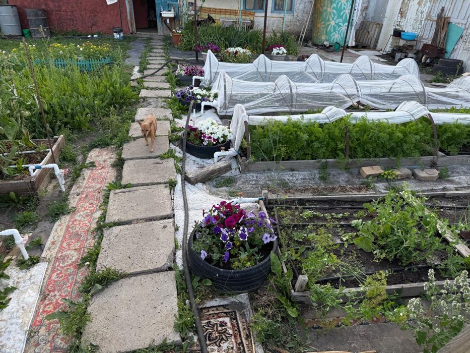 Продается дача ДО Черемушки