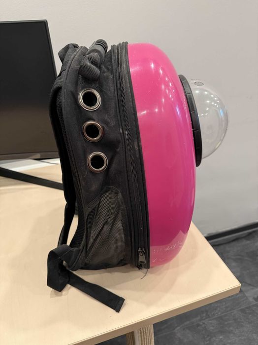 Geanta transport pisica