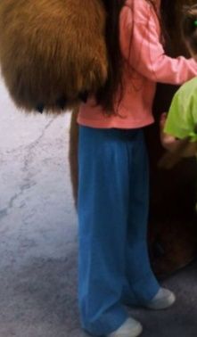 Широкие штаны Defacto 100.000