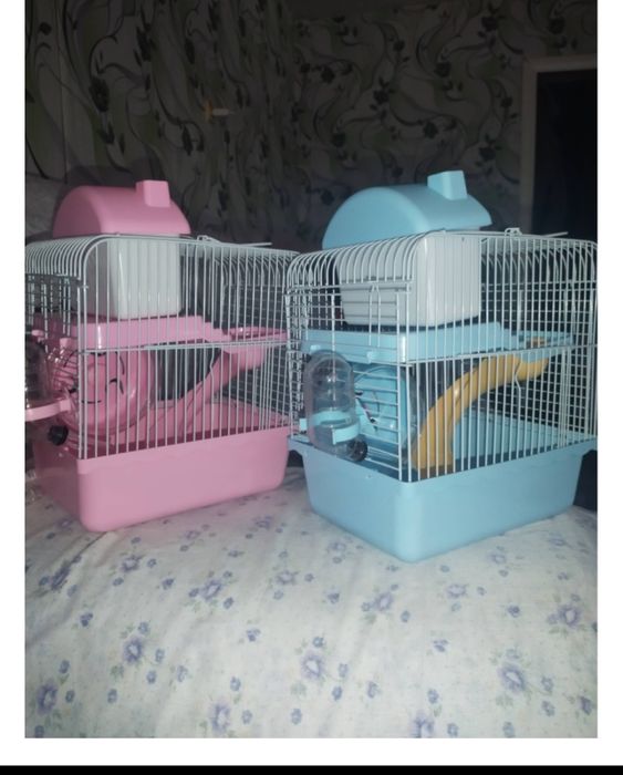 Хомяки с клеткой