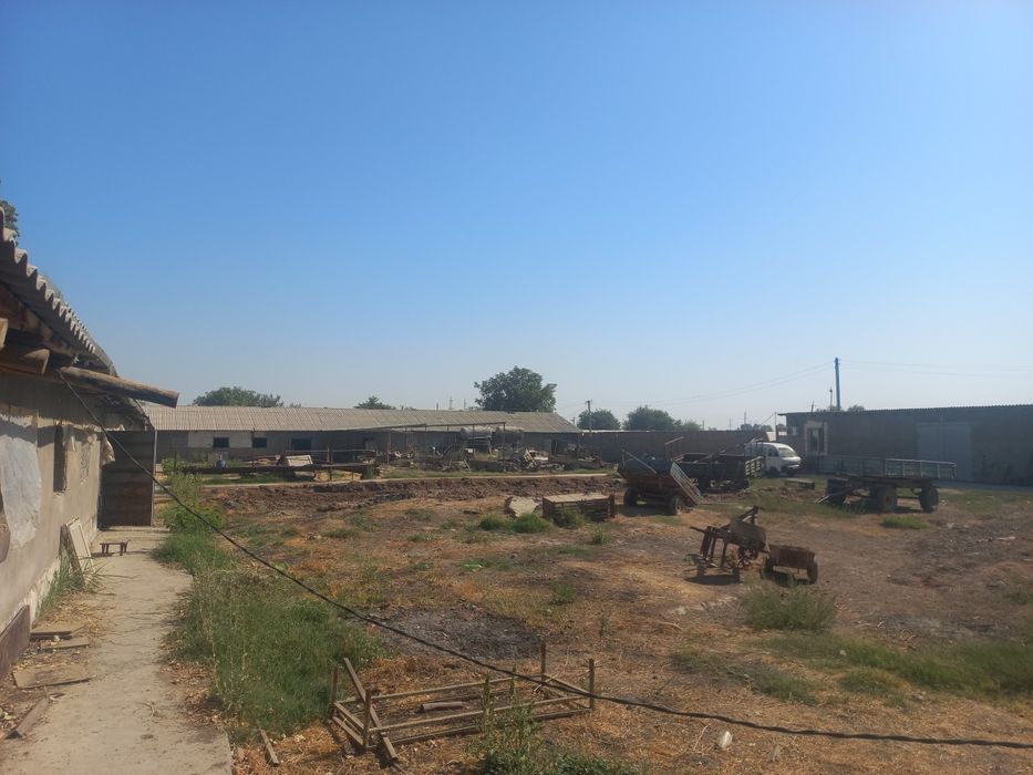 Продаётся земельный участок коммерческого назначения в Янгиёле (Ташкен