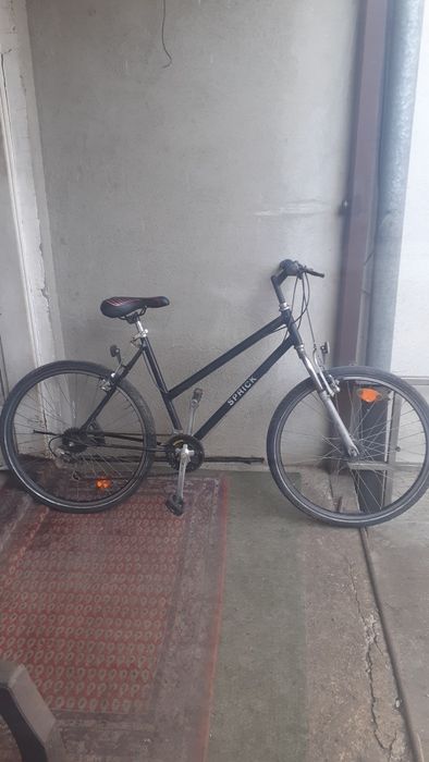 Bicicleta de dama