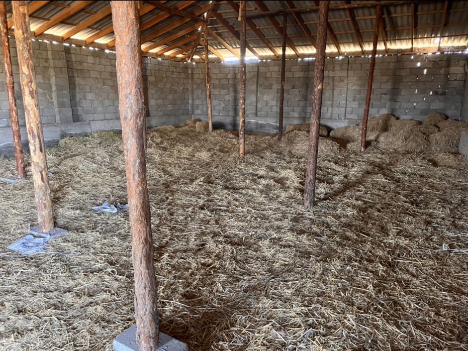 Мал Кора Мал Қора Фазенда