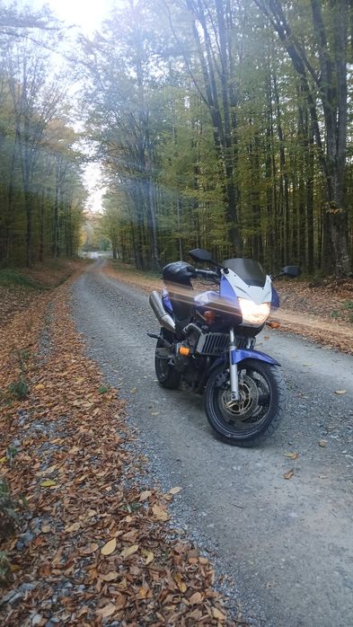 Vand Honda Hornet