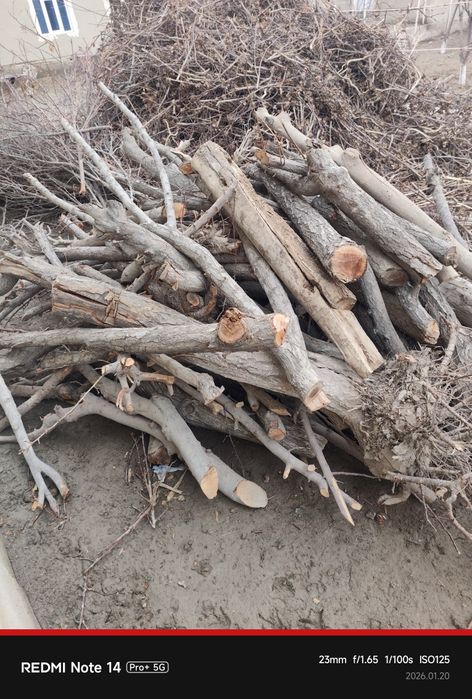 Oʻtin yogʻoch.. ..