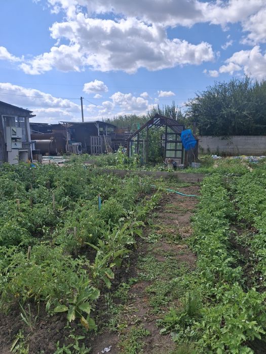 Продам Зерендинскую дачу