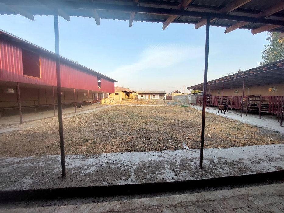 Современная ферма с готовым домом (12 соток) и ферма (18 соток) делимы