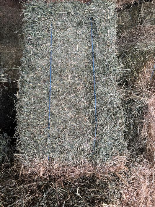 Baloti dreptunghiulari lucerna