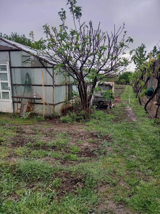 Vand casa  in Mineri