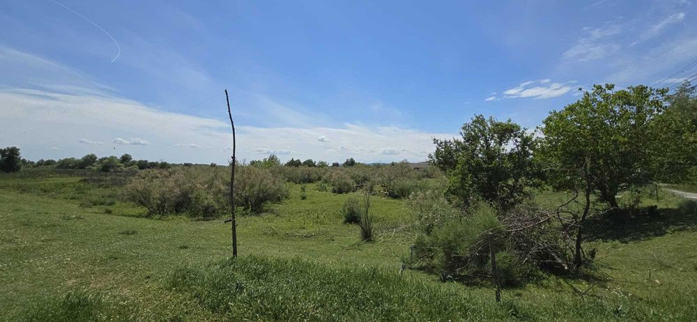 Teren in Delta Dunarii pe bratul Sulina, in Gorgova