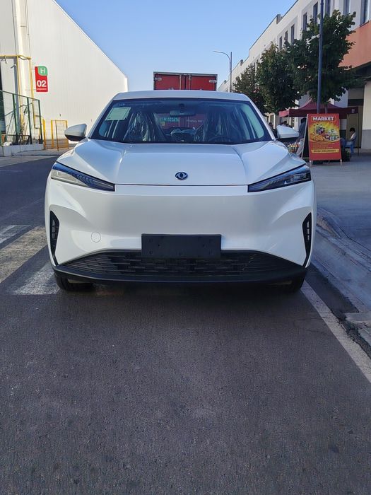 Dongfeng sky ev 01