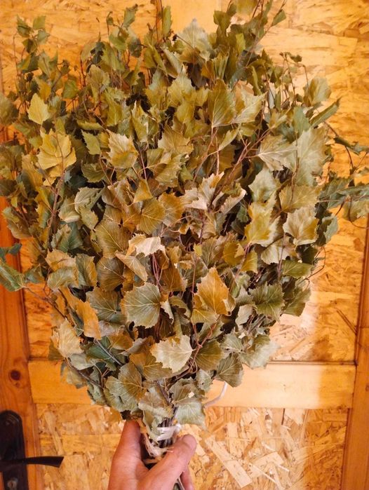 Березовые веники