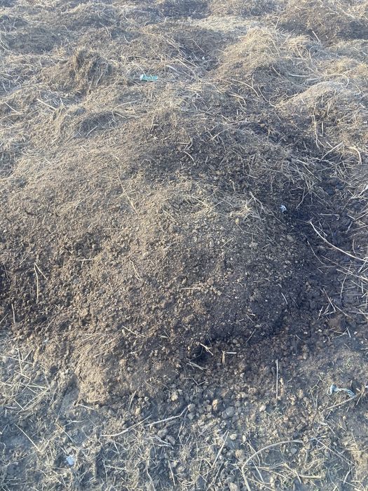 Черназем перегной,свежий