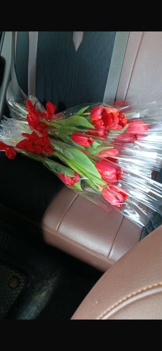 Тюлпаны курпные бутоны